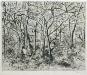 Landscape under Wood, at the Hermitage (Pontoise)